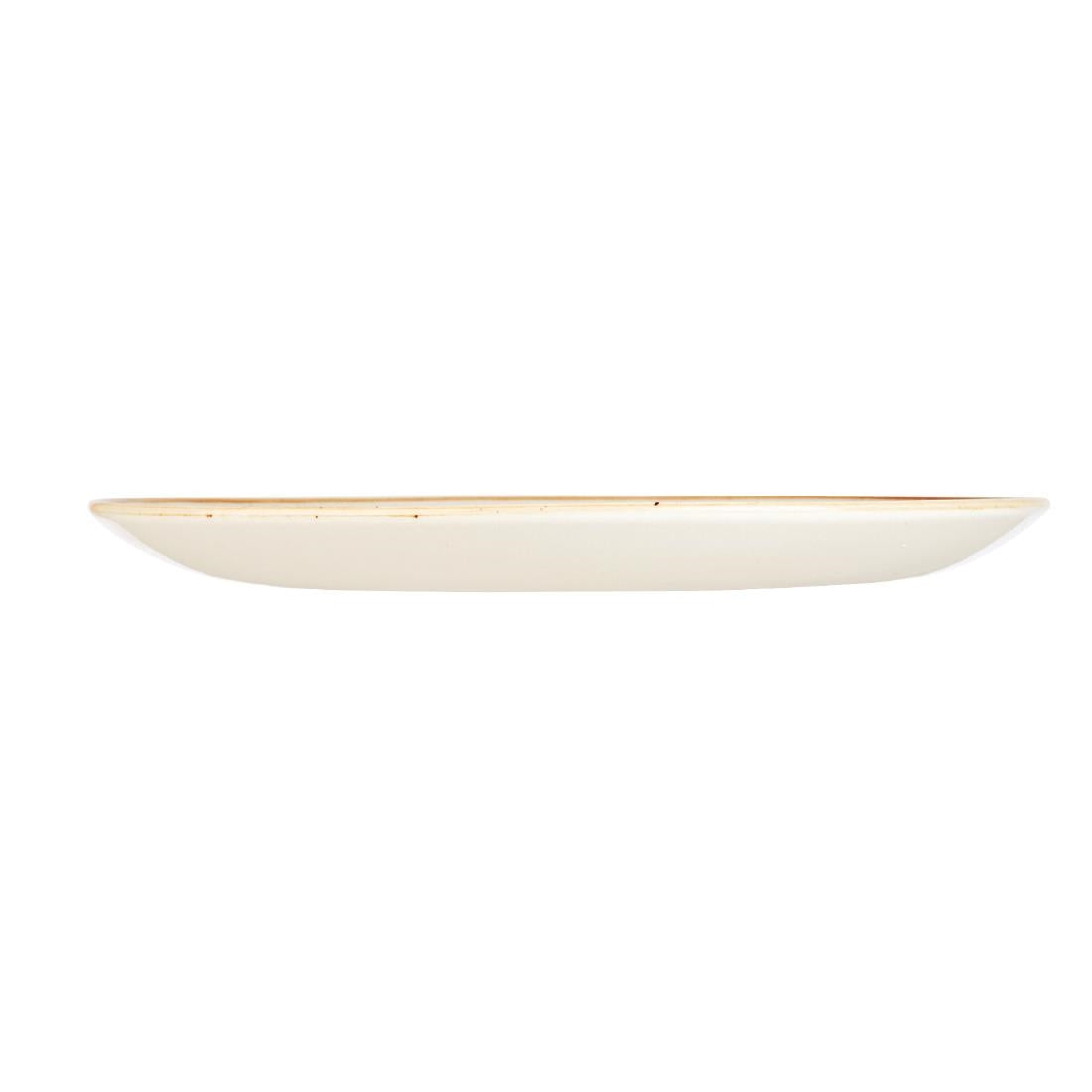 Churchill Stonecast Spiced Orange Evolve Coupe Bord 21.7cm (pak van 12)