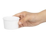 Fiesta Recycleerbare Ijspotten 3Oz (Verpakking Van 1000)