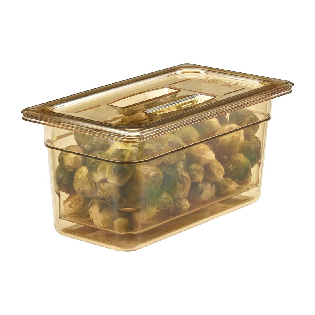 Cambro hittebestendig GN 1/3 deksel met handgreep