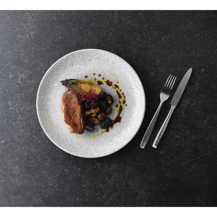 Churchill Raku Jasper Grey Evolve Coupe Bord 22cm (pak van 12)