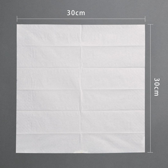 Fiesta Compostable houten bestekset (250 stuks)